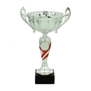 Cupe si trofee - Cupa MS65
