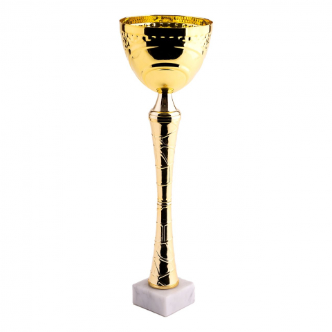 Cupe si trofee - Cupa MS63 - King 64