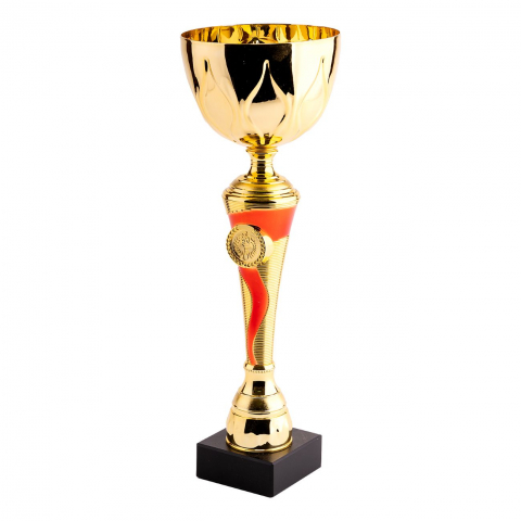 Cupe si trofee - Cupa MS66 - King 64