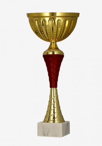 Cupe si trofee - Cupa MS70 - King 64