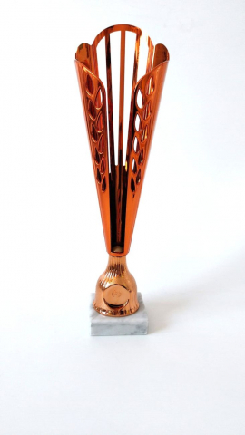 Cupe, trofee si medalii - Cupa MS73 - King 64