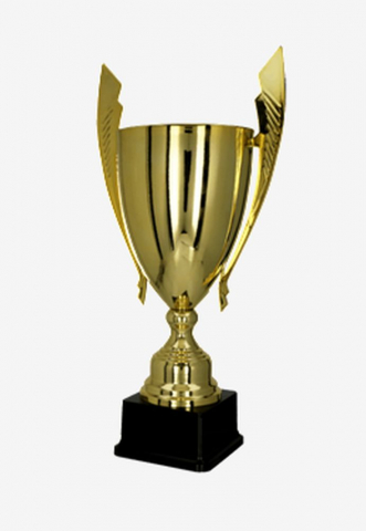 Cupe si trofee - Cupa MS75 - King 64