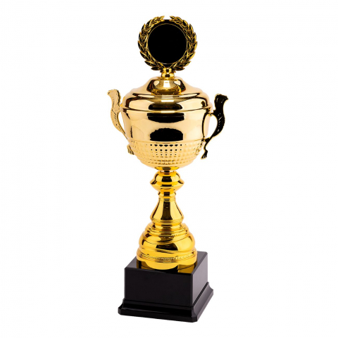 Cupe si trofee - Cupa MS80