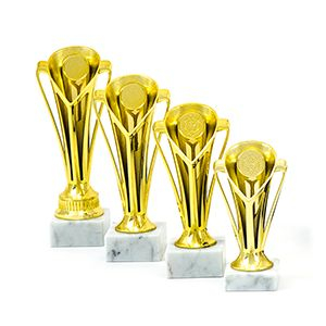 Cupe si trofee - Cupa MS06