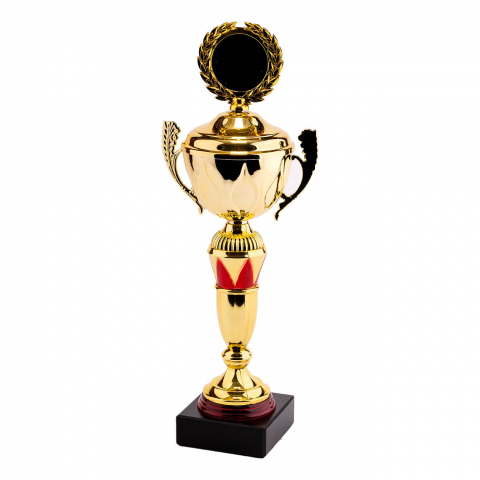 Cupe si trofee - Cupa MS82