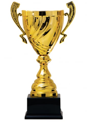 Cupe si trofee - Cupa MS84