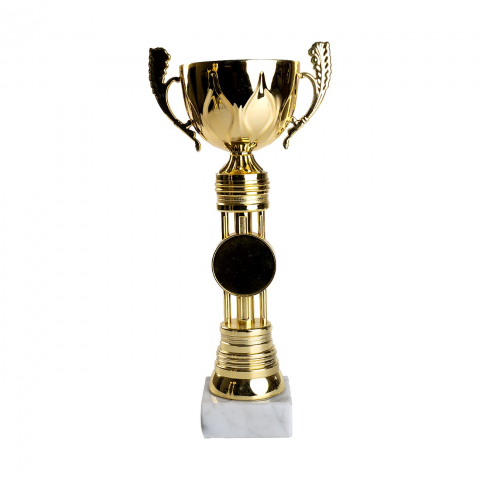 Cupe si trofee - Cupa MS100 - King 64