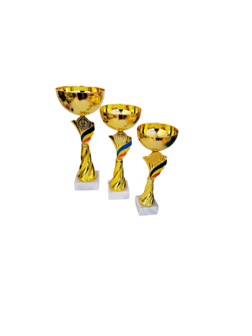 Cupe si trofee - Cupa Tricolor MS176