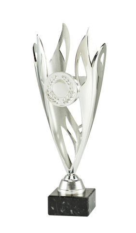 Cupe si trofee - Cupa MS182