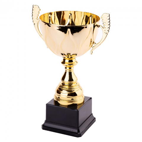 Cupe si trofee - Cupa MS33