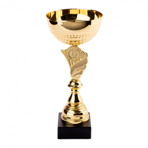 Cupe si trofee - Cupa MS34