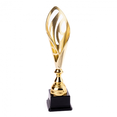 Cupe si trofee - Cupa MS36