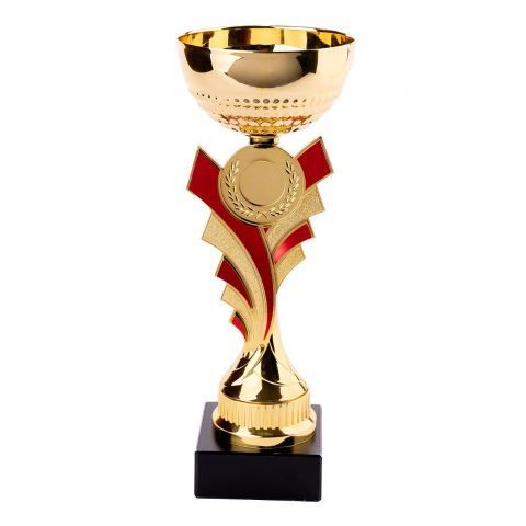 Cupe, trofee si medalii - Cupa MS50 - King 64