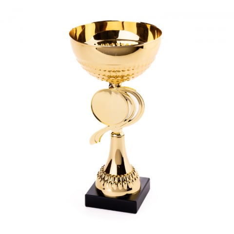 Cupe si trofee - Cupa MS62 - King 64
