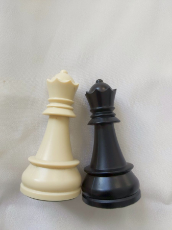 Set Piese Regina Alba  si Neagra pentru setul de piese plastic DGT cu inaltimea regelui de 95 mm [1]