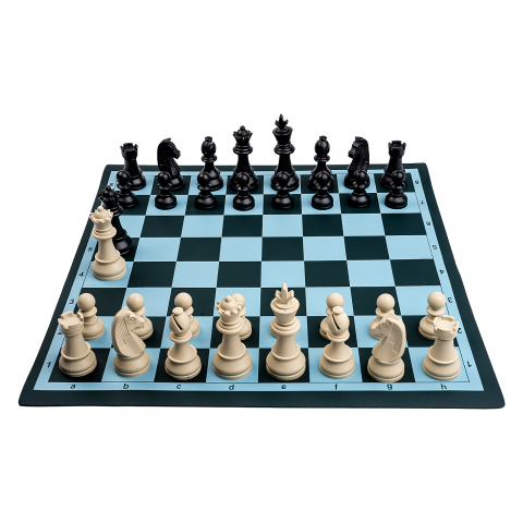 EduChess - set sah scoala la tub - Imperfect [4]