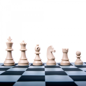 EduChess - set sah scoala la tub - Imperfect [8]