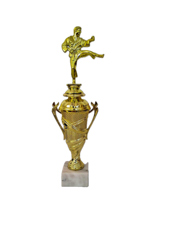 Cupe si trofee - Trofeu Arte Martiale auriu
