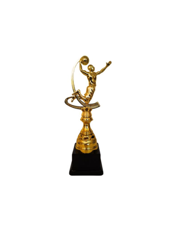 Cupe si trofee - Trofeu Basket