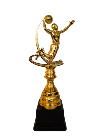 Cupe si trofee - Trofeu Basket