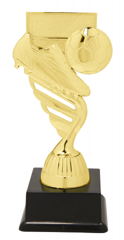 Cupe si trofee - Trofeu MS44, Fotbal
