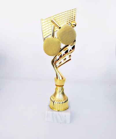 Cupe si trofee - Trofeu Tenis de masa, MS180