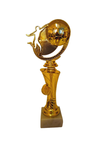 Cupe si trofee - Trofeu Jucator Fotbal