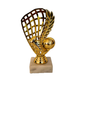 Cupe si trofee - Trofeu Manusi Portar mic, MS 196