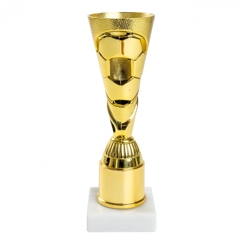 Cupe si trofee - Trofeu MS112, Fotbal
