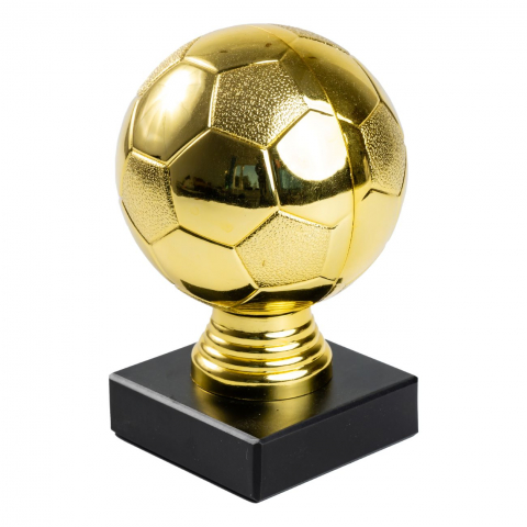 Cupe, trofee si medalii - Trofeu MS114, Minge aurie Fotbal