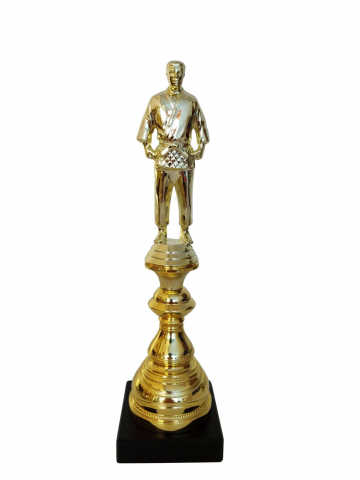 Cupe si trofee - Trofeu MS164 Judo , 26 cm