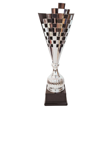 Cupe si trofee - Trofeu  MS194 Argintiu