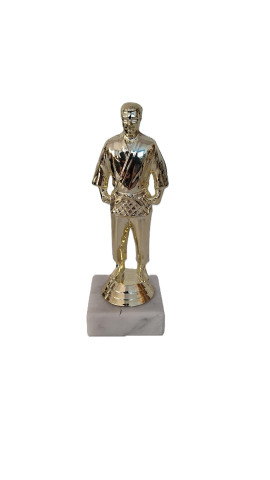 Cupe si trofee - Trofeu MS200, Arte Martiale