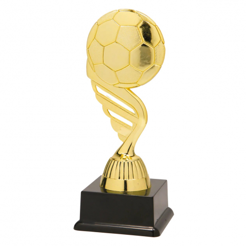 Cupe si trofee - Trofeu MS45, Minge Fotbal