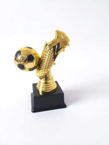 Cupe si trofee - Trofeu MS52, Gheata Fotbal Auriu