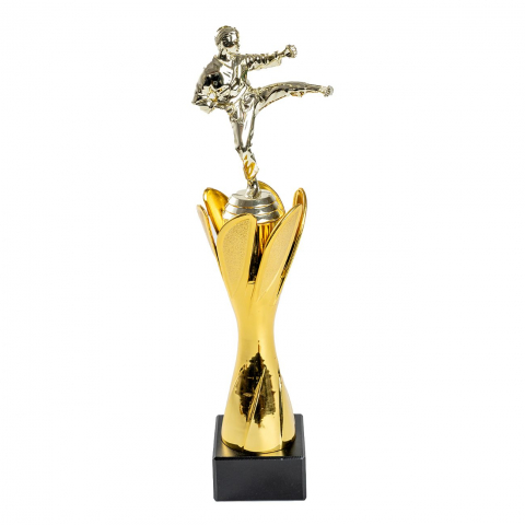 Cupe si trofee - Trofeu MS91 - Arte Martiale