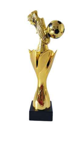 Cupe si trofee - Trofeu MS93 - Gheata Fotbal