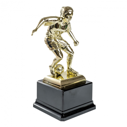 Cupe si trofee - Trofeu MS95-Fotbal Feminin