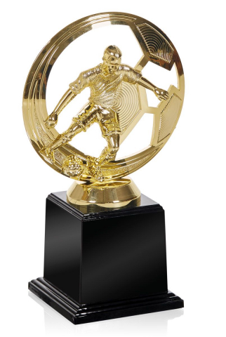 Cupe si trofee - Trofeu Rotund Fotbal, MS156
