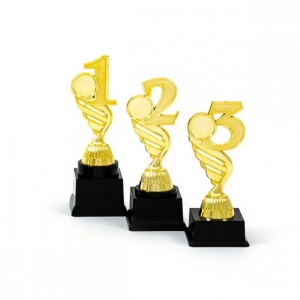 Cupe si trofee - Trofeu T01