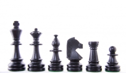 Lemn De Carpen (hornbeam) - Piese lemn Staunton 6 in punga de plastic - BLACK