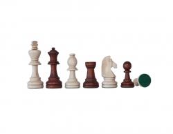 Lemn De Carpen (hornbeam) - Piese sah lemn Staunton 7