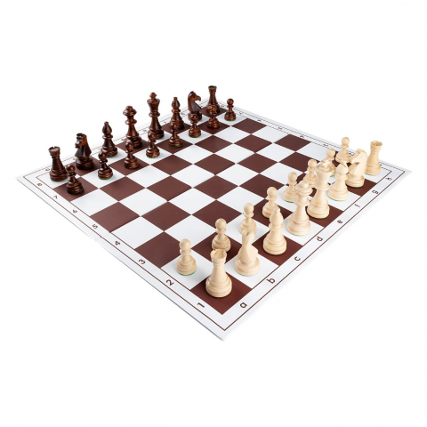 Pentru scoala - Combo set Staunton 6 lemn cu tabla PVC