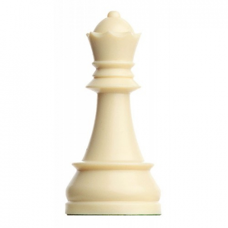 DGT - Set Piese Regina Alba si Neagra pentru setul de piese plastic DGT cu inaltimea regelui de 95 mm