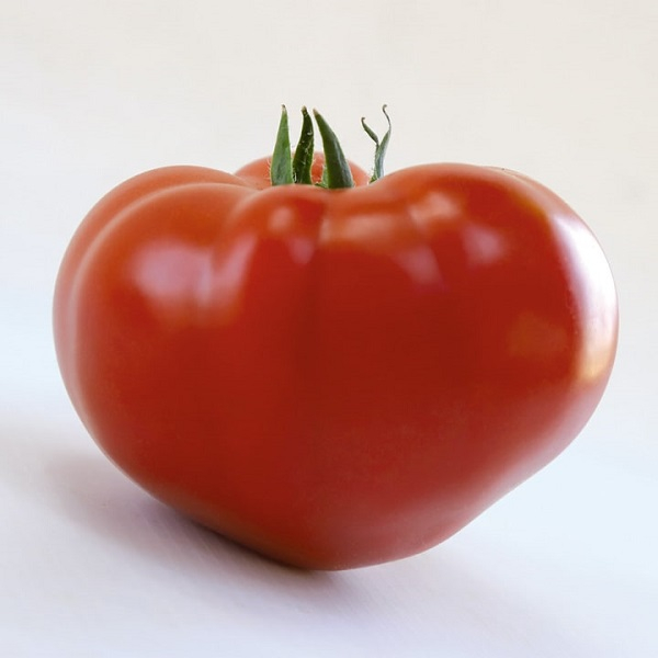 Seminte de tomate Akemi 500 sem [2]