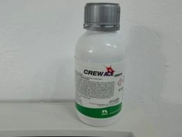 CREW ACE 500 ML [1]