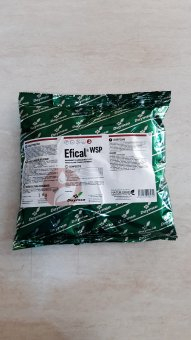 EFICAL 1 KG [1]