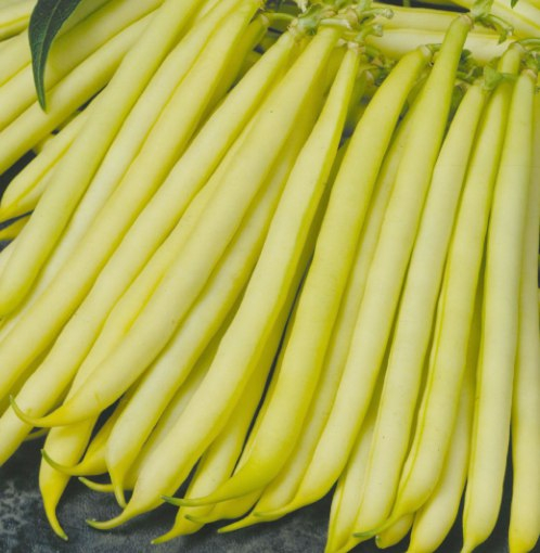 Fasole Tambora 1  kg [1]