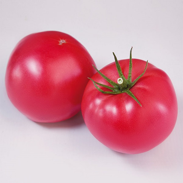 Seminte de tomate  roz Finley F1 200 sem. [1]