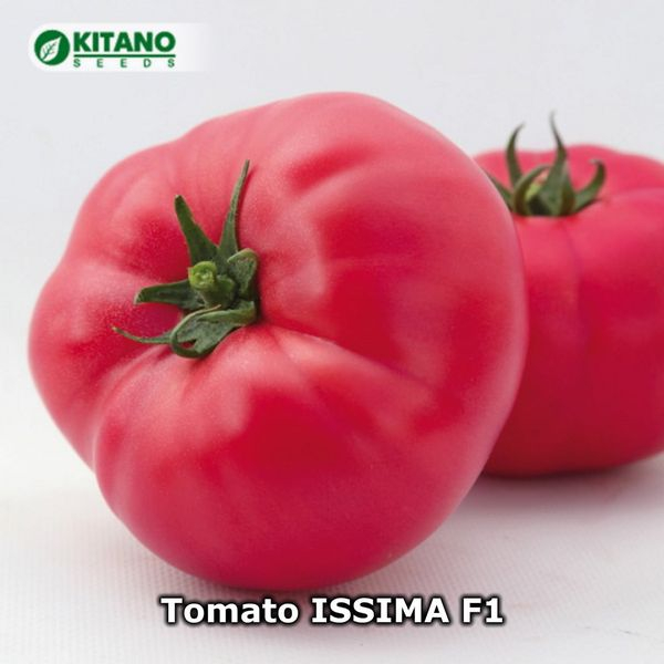 Seminte de tomate roz OSHIN F1 (Issima f1) 500 seminte [1]